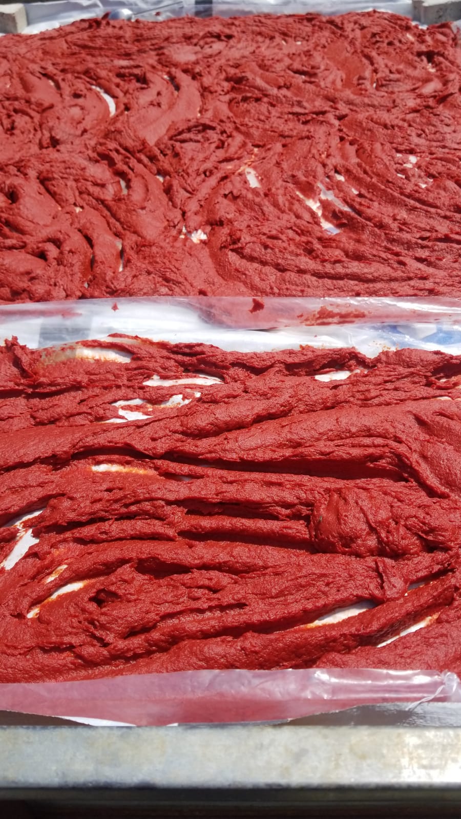 Fırsat Domates 10kg