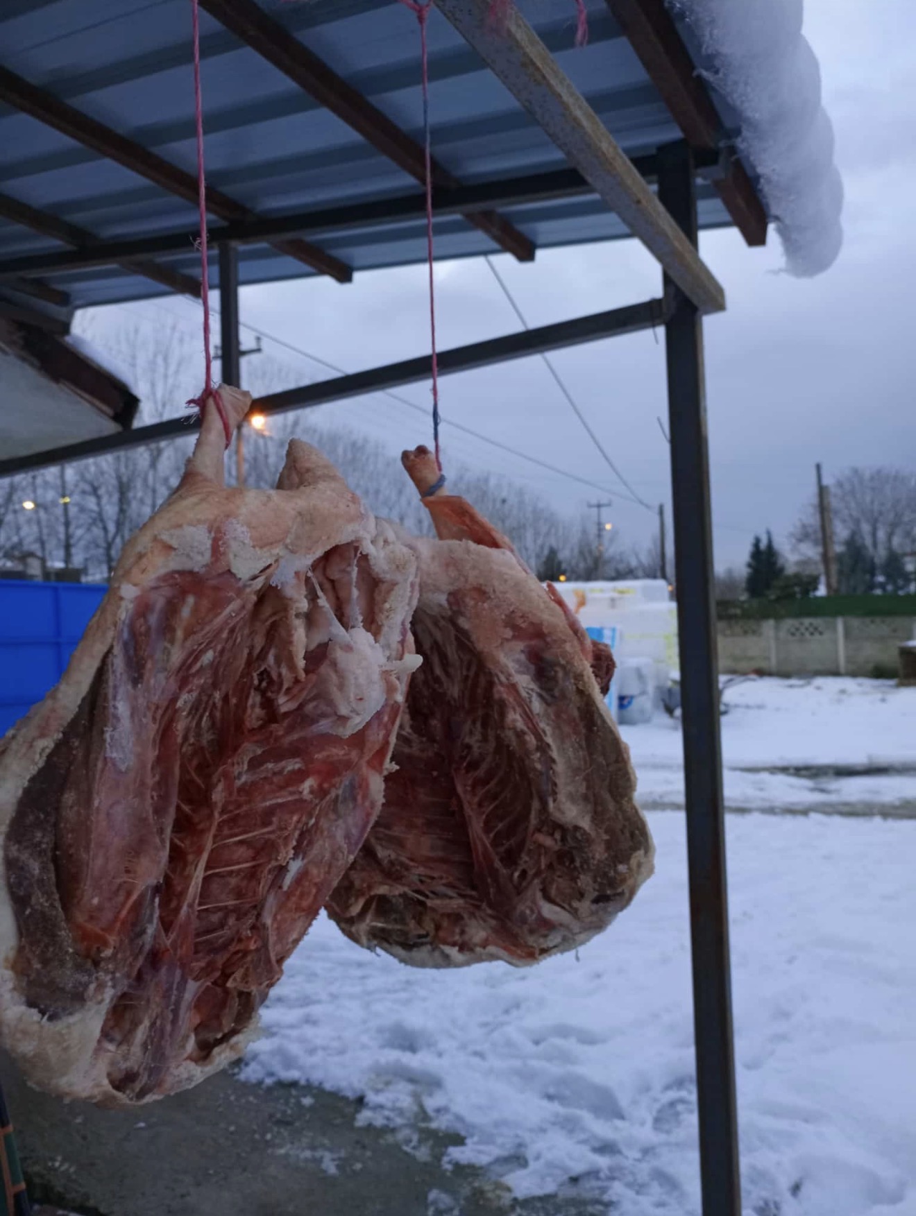 Kurutulmuş kaz 3 kg üstü