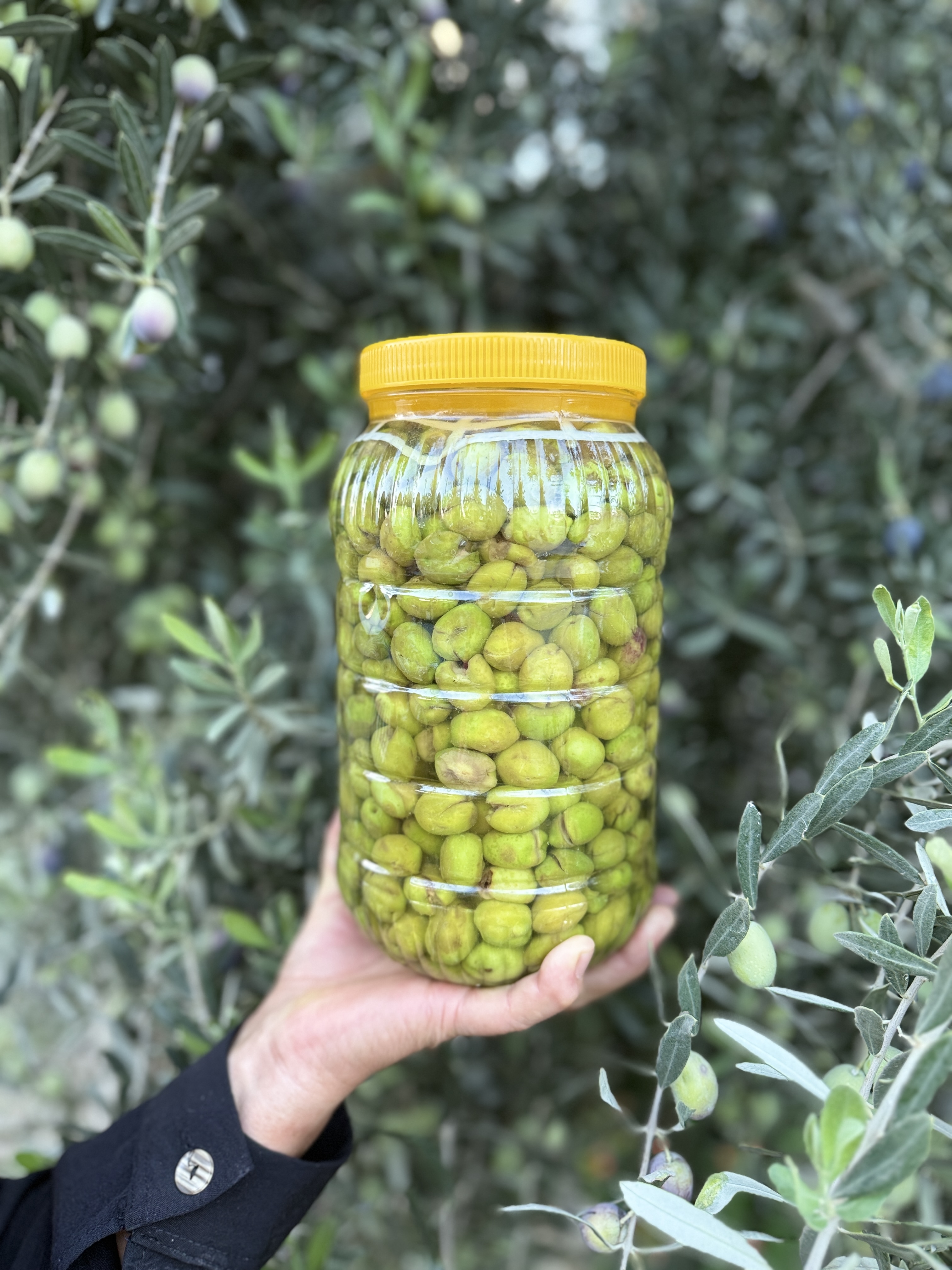 Yeni sezon Taş kırma 3 kg bidon