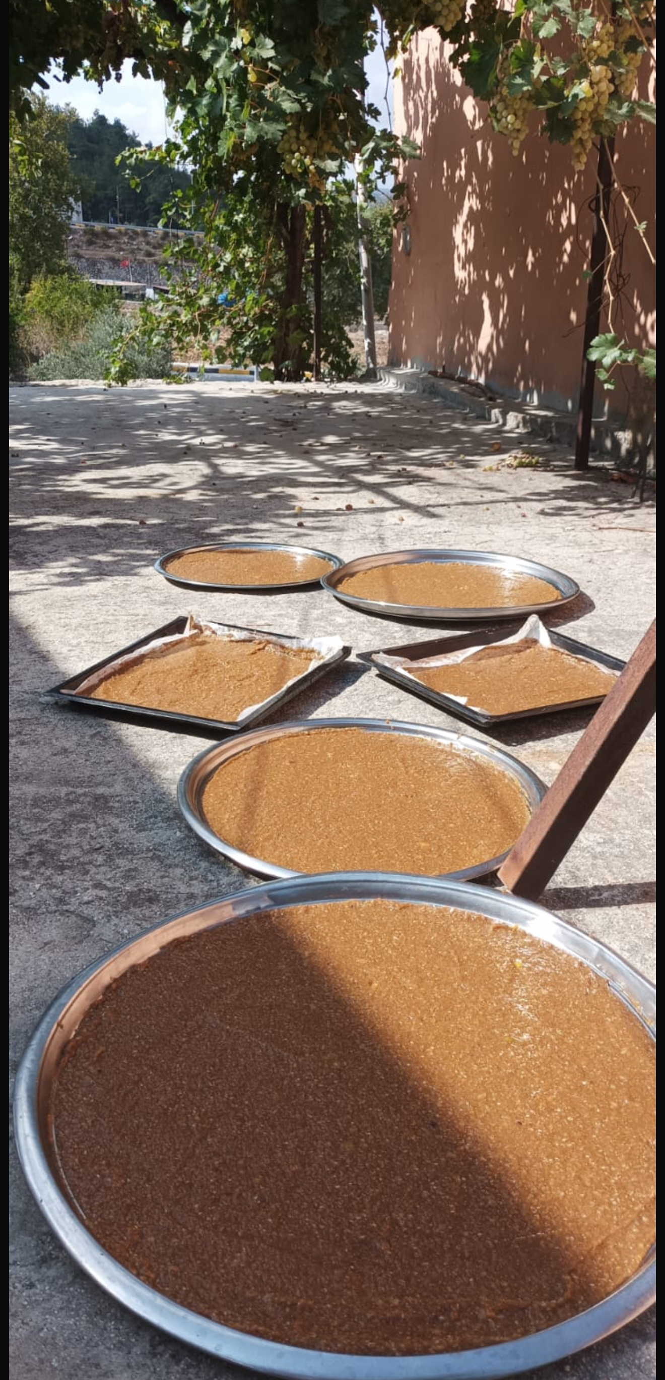 İncir pestil 500 gr