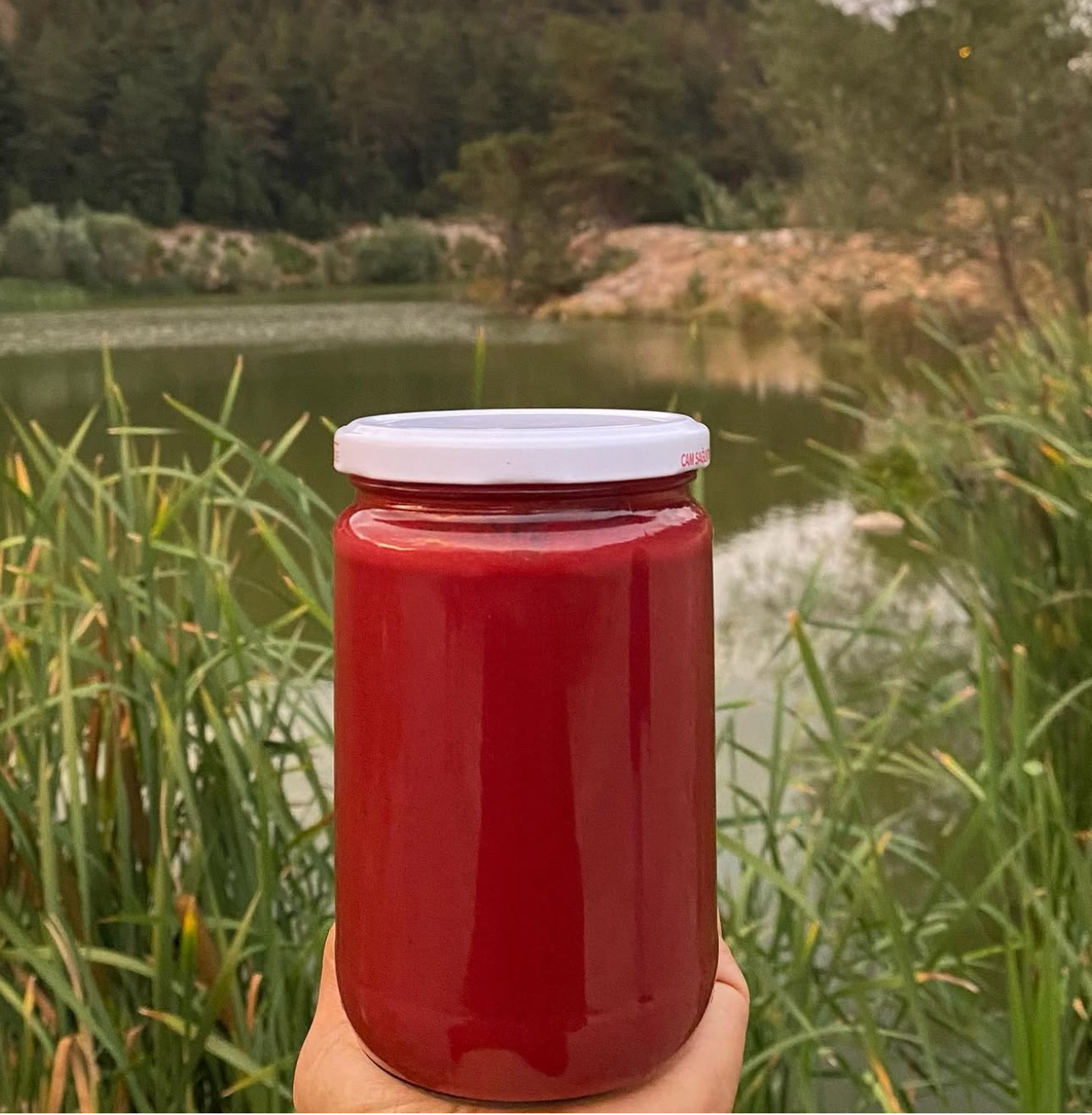 Kızılcık Marmelatı 800 gr