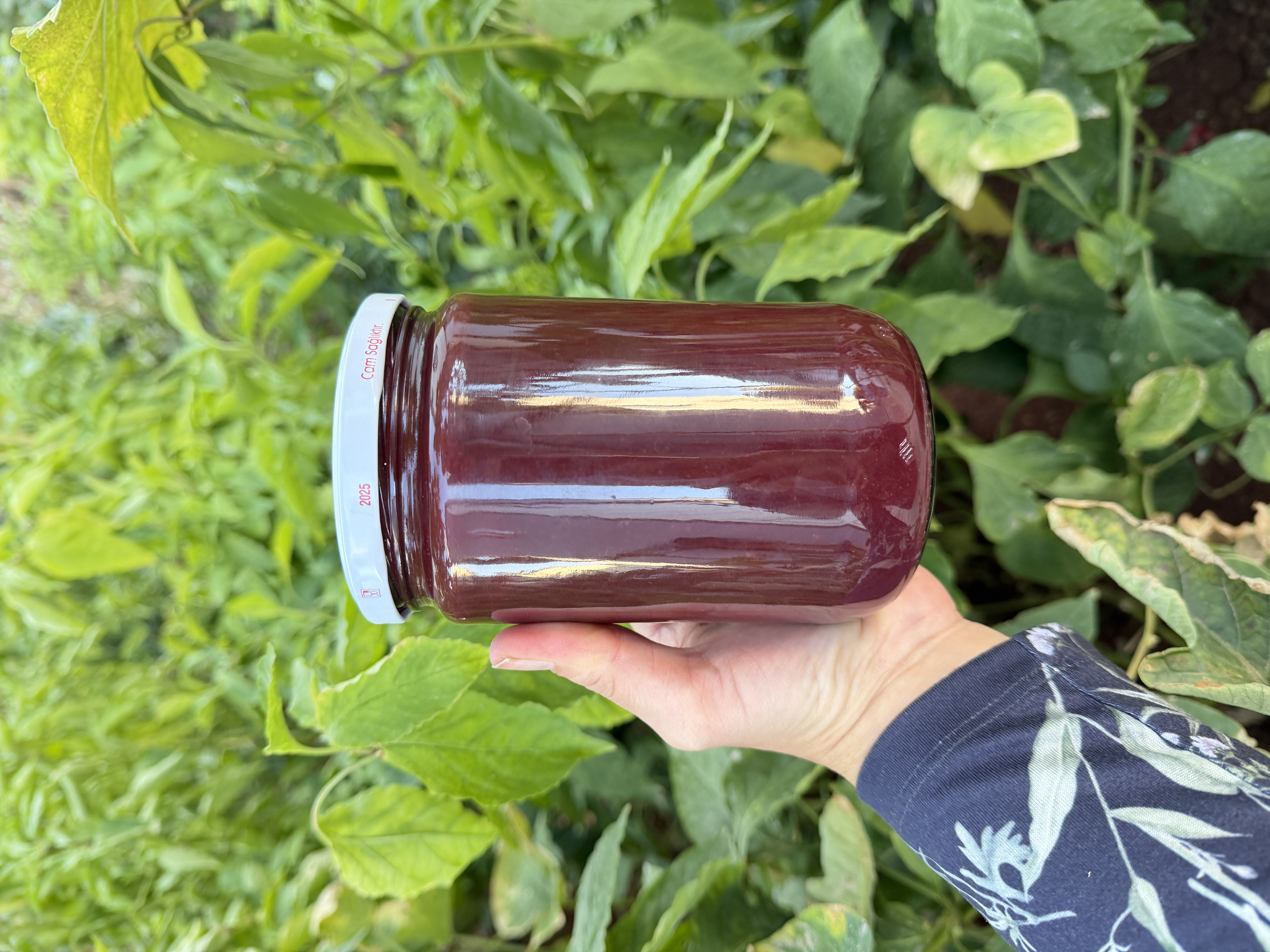 Yaban Erik marmelatı 900 gr